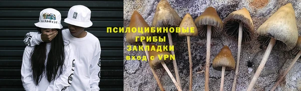 гашик Балабаново