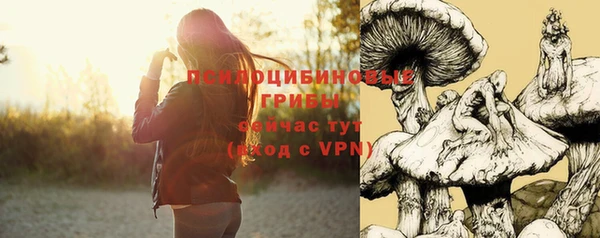 ешки Балахна